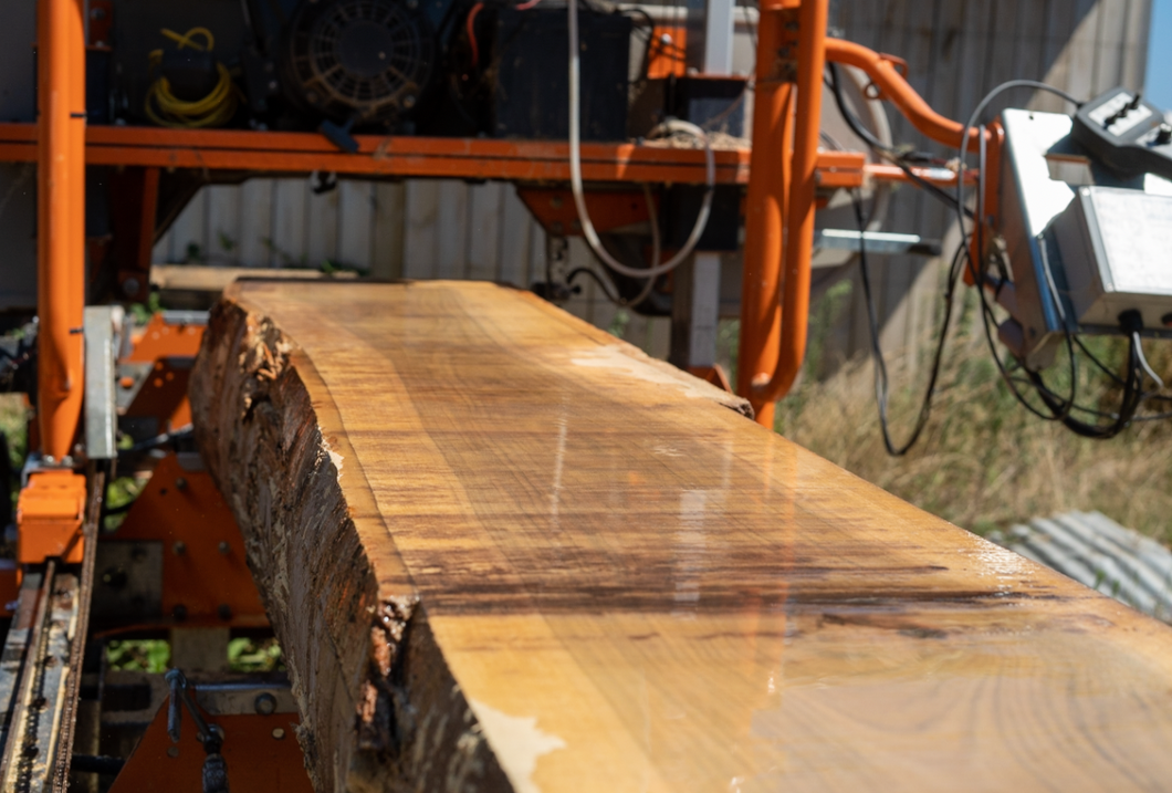 Rough Sawn Timber Slabs // Hardwood // Soft Wood